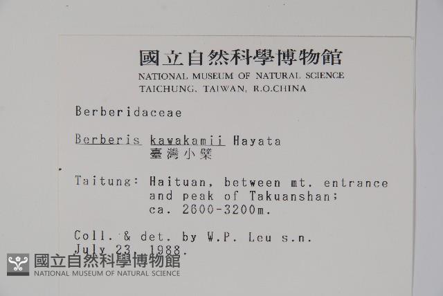 臺灣小蘗藏品圖，第2張