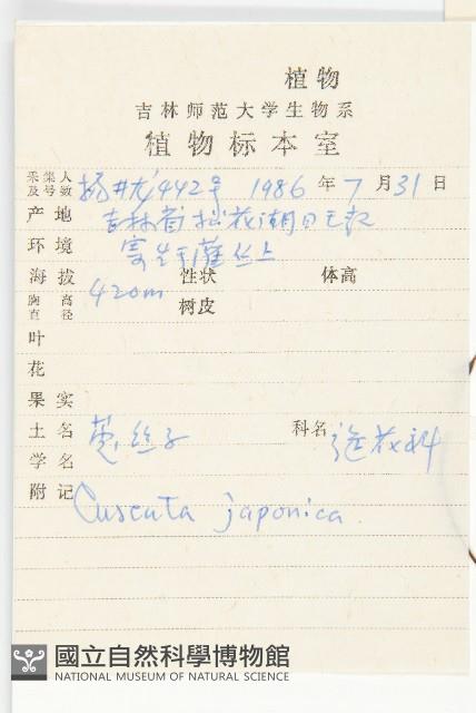 日本菟絲子藏品圖，第2張