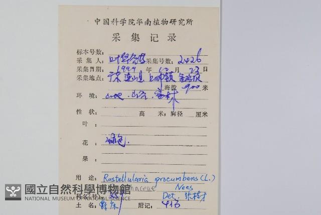 爵床、六角英藏品圖，第2張