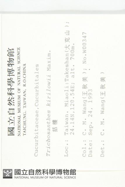 括樓藏品圖，第2張