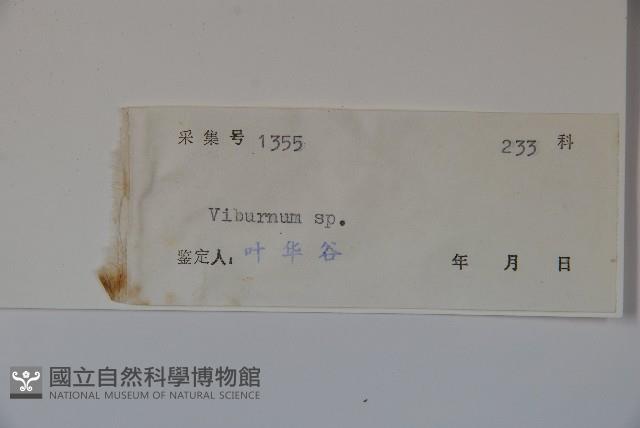 登錄號:S041926藏品圖，第2張