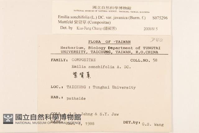 燈稱花、烏雞骨藏品圖，第1張