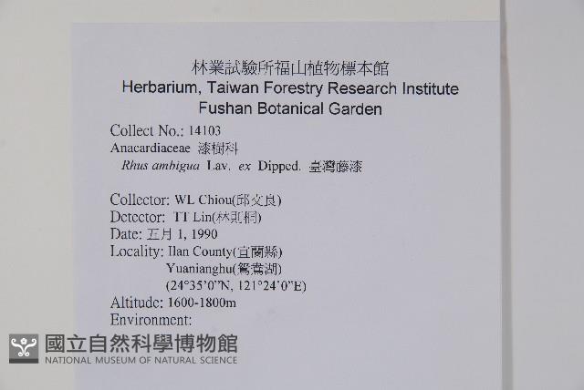 臺灣藤漆藏品圖，第2張