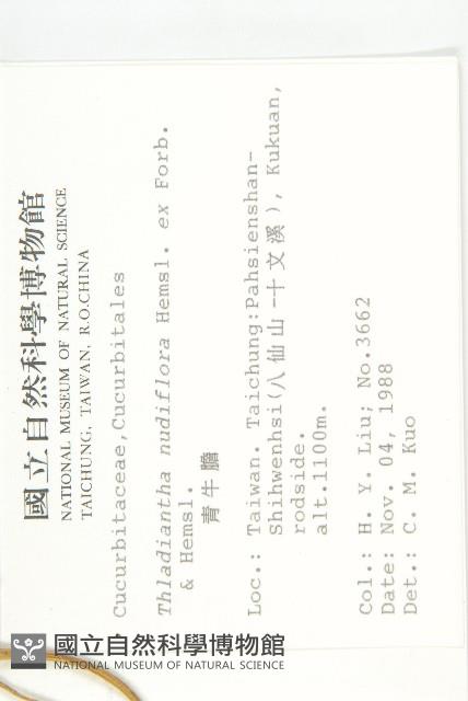 青牛膽藏品圖，第2張