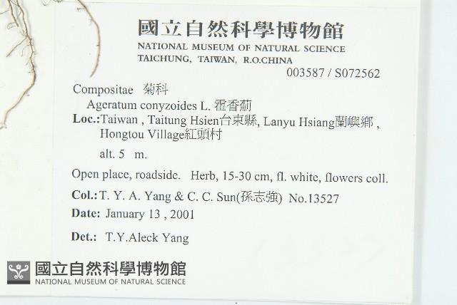 母丁香藏品圖，第2張