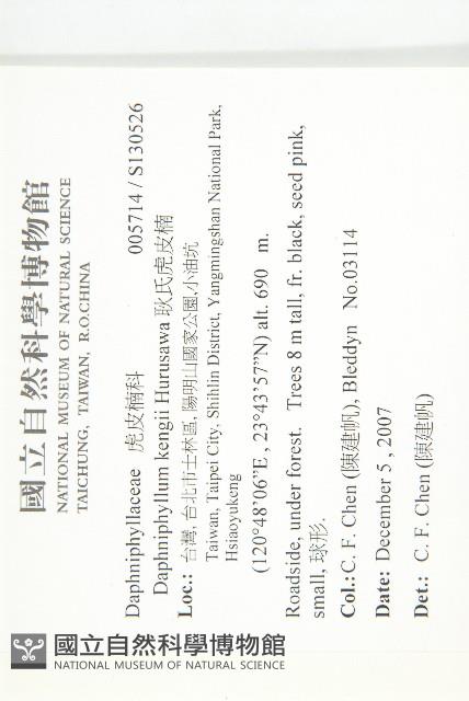 耿氏虎皮楠藏品圖，第2張