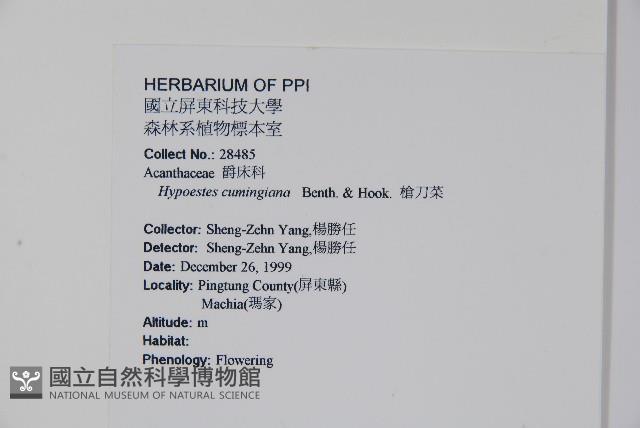 槍刀菜藏品圖，第2張