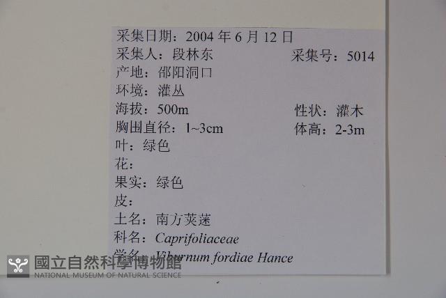 南方莢迷藏品圖，第2張