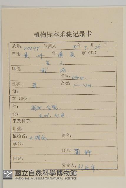 大麗花藏品圖，第2張