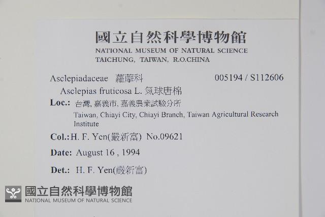 氣球唐棉藏品圖，第2張