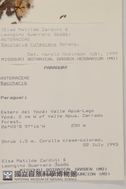 登錄號:S080606藏品圖，第2張