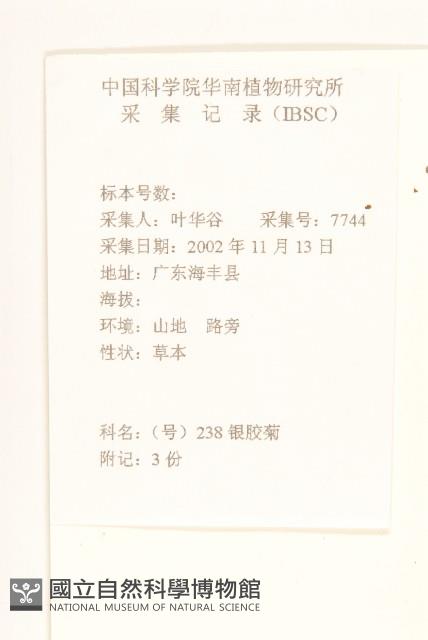 銀膠菊藏品圖，第2張