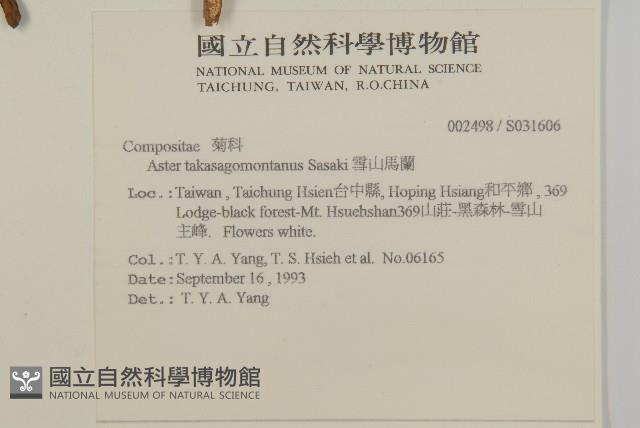 雪山馬蘭藏品圖，第2張