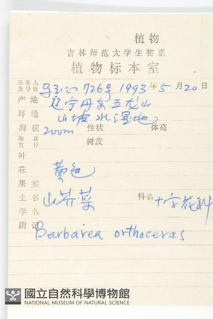 山芥菜藏品圖，第2張