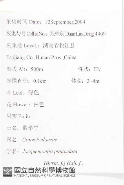 娥房藤藏品圖，第2張