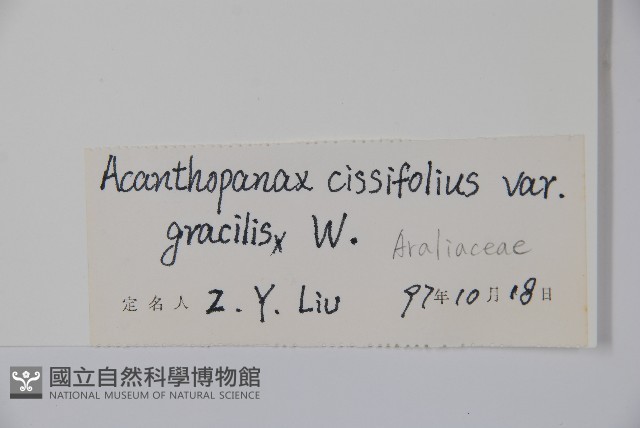登錄號:S047606藏品圖，第2張