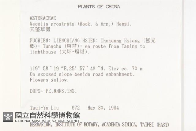 天蓬草舅藏品圖，第2張