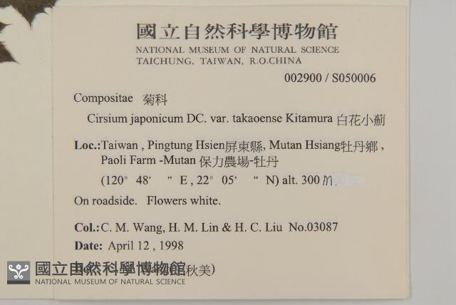 雞觴刺、島薊藏品圖，第2張