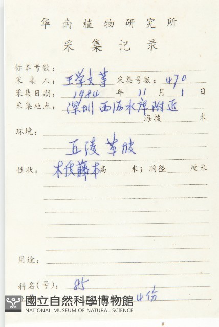 錫葉藤藏品圖，第2張