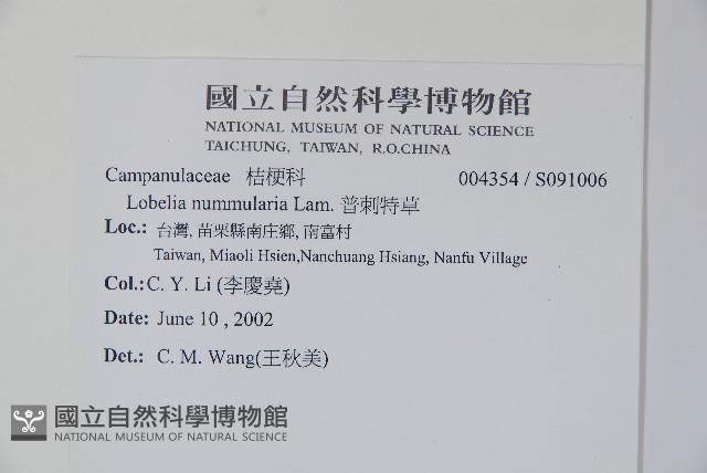 普刺特草藏品圖，第2張