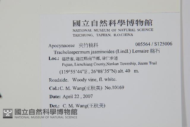 絡石藏品圖，第2張