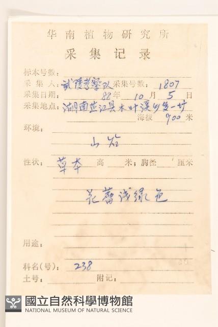 華澤蘭藏品圖，第2張