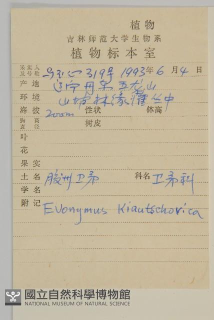 膠東衛矛藏品圖，第2張