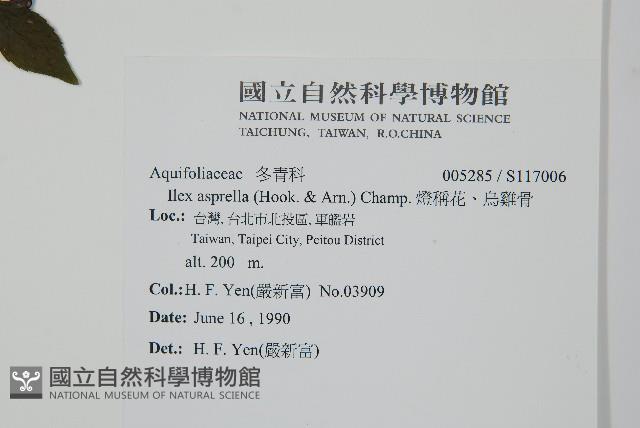 燈稱花、烏雞骨藏品圖，第2張