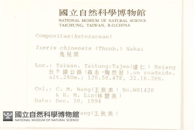 兔仔菜藏品圖，第2張