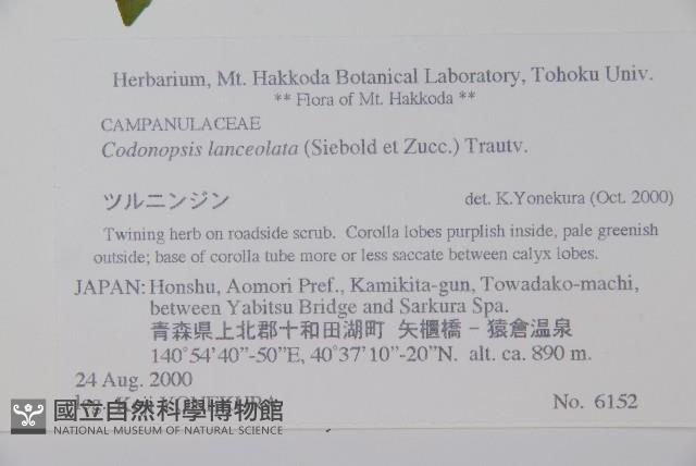 羊乳、四葉參藏品圖，第2張