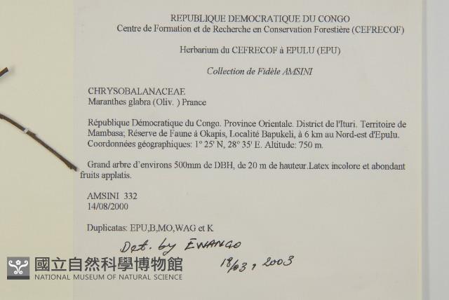 登錄號:S093706藏品圖，第2張