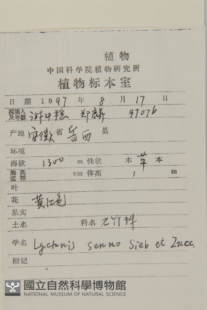 剪秋羅、剪秋紗、漢宮秋藏品圖，第2張
