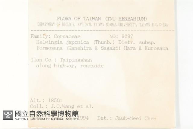 臺灣青莢葉藏品圖，第2張