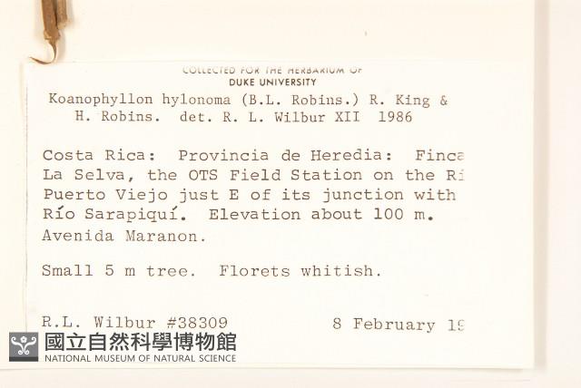 登錄號:S035206藏品圖，第2張