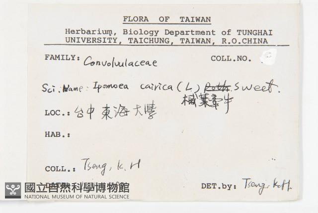 番仔藤藏品圖，第2張