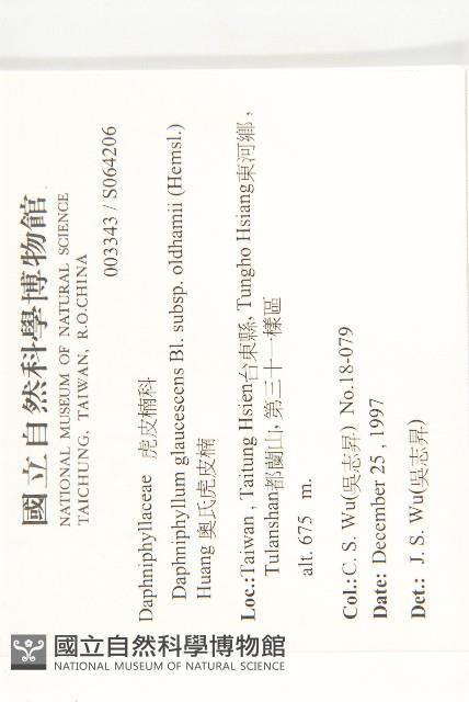 耿氏虎皮楠藏品圖，第2張