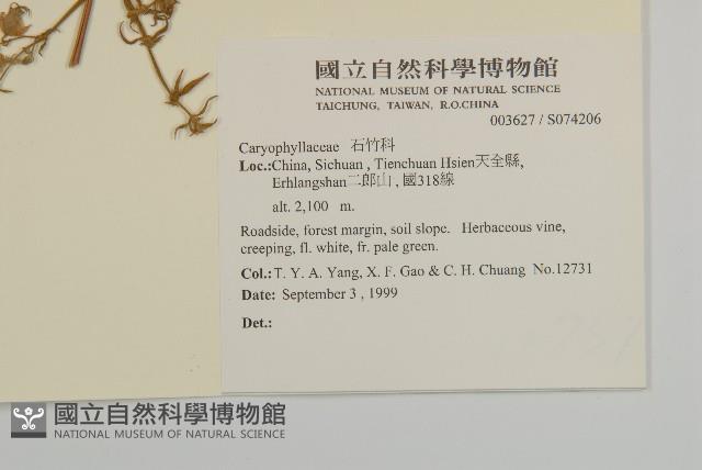 登錄號:S074206藏品圖，第2張