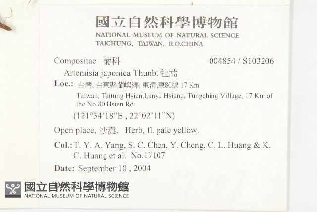 牡蒿藏品圖，第2張