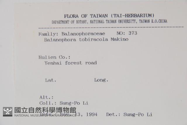 海桐生蛇菰藏品圖，第2張