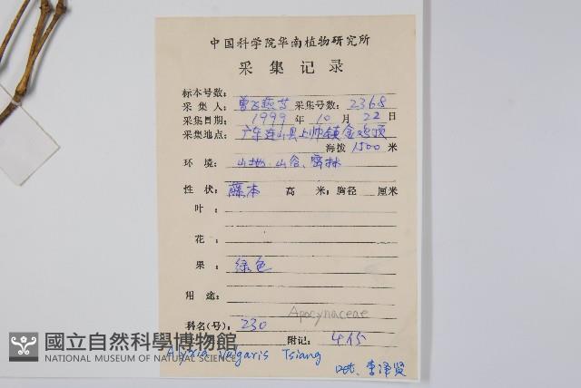 串珠子藏品圖，第2張