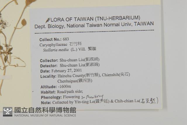 繁縷藏品圖，第2張