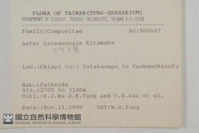 臺灣馬蘭藏品圖，第2張