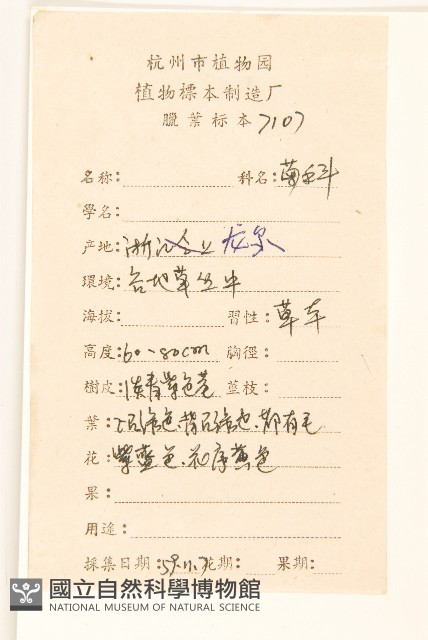 雞兒腸藏品圖，第2張