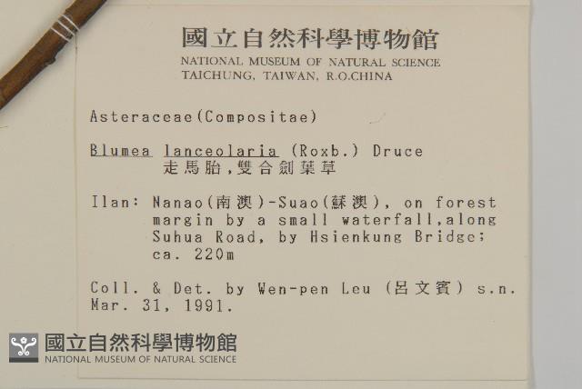 走馬胎藏品圖，第2張