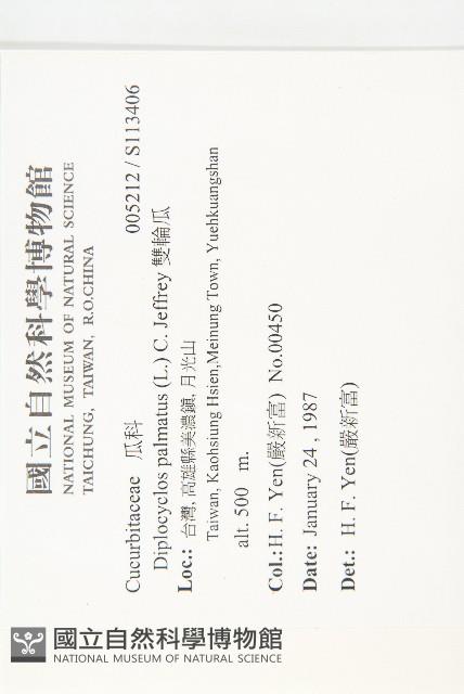 雙輪瓜藏品圖，第2張