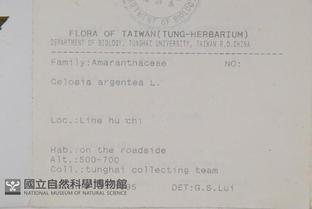 青葙藏品圖，第2張