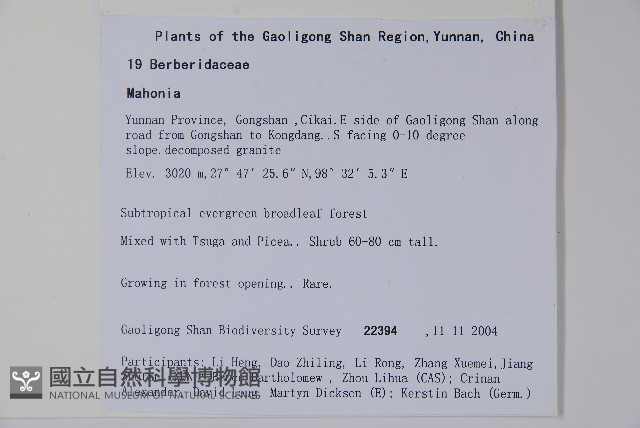 登錄號:S106106藏品圖，第2張