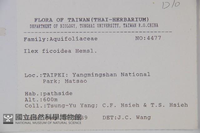 臺灣糊樗藏品圖，第2張