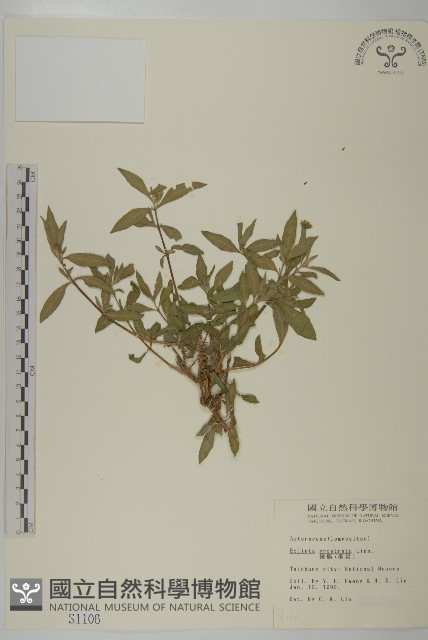 鱧腸藏品圖，第1張