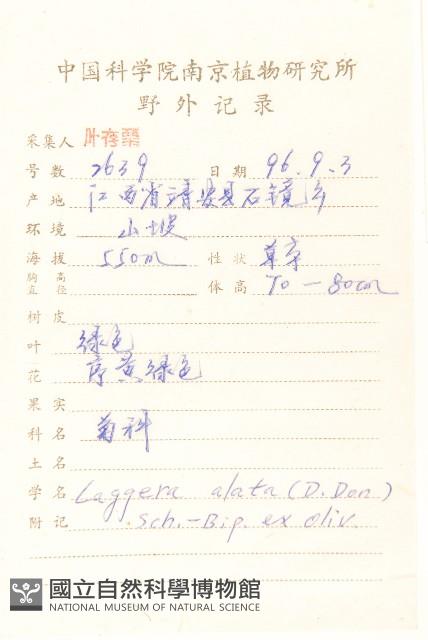 六角草藏品圖，第2張